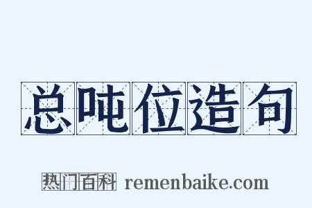 总吨位造句是什么意思的图片